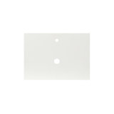 30.5" Single Bathroom Vanity Top