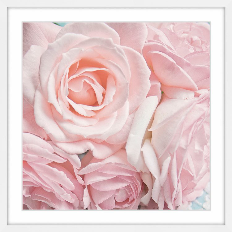 'Pink Roses II' Framed Photographic Print House of Hampton® 