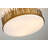 Rockingham Sawgrass Semi-Flush Light-1952206615