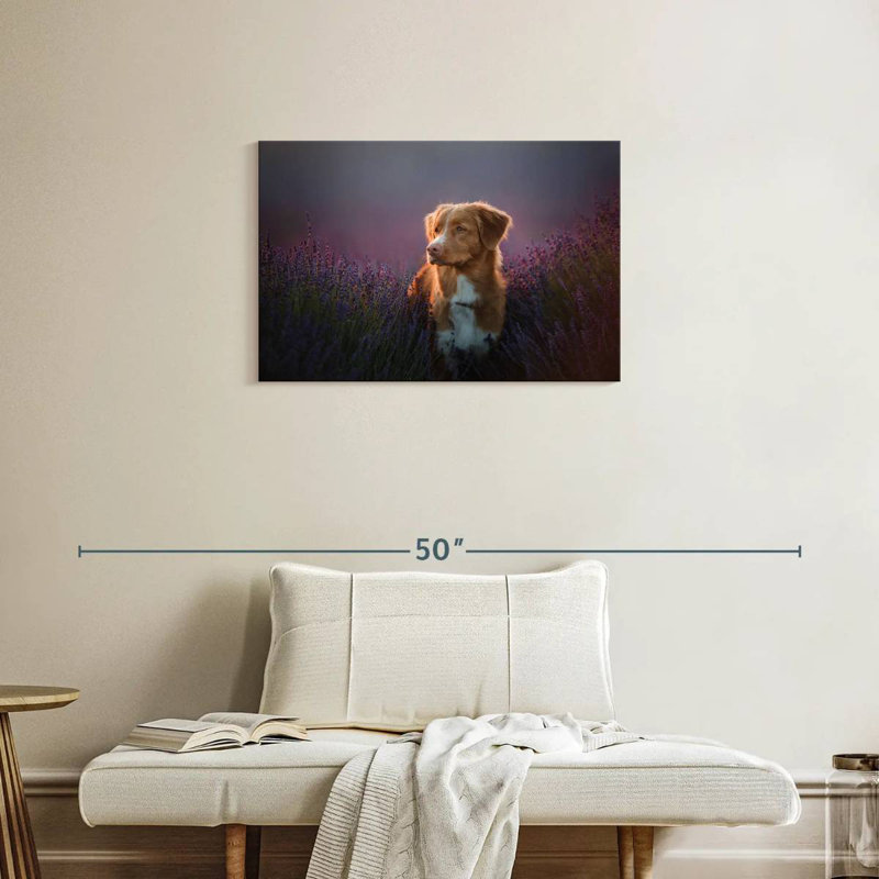 Golden Retriever In Lavender Field, 20" H x 30" W