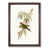 Walnut Framed selected