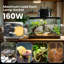 Luminaire pour reptile simple 160W, culot de lampe dôme réfléchissant chaleur / UVB, pour terrarium pour petits animaux et tortue, noir