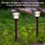 Paquet de 8 lumières d'extérieur imperméables pour paysage, verre de jardin noir