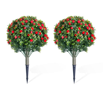 60cm Plant