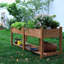 Raised Garden Bed-896917430