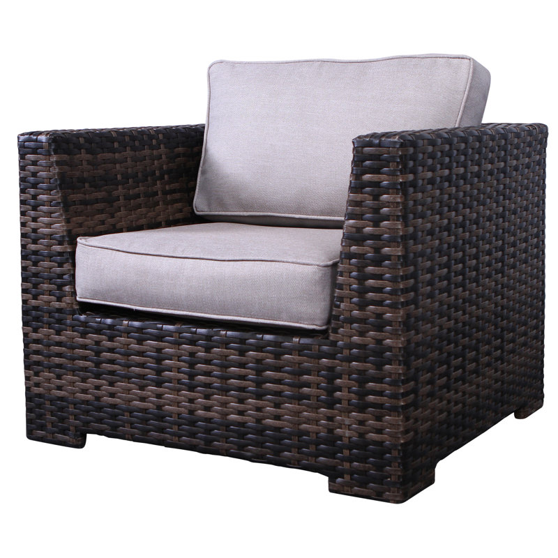 Carmel Rattan Wicker Fully Assembled 5 - Person Seating Group with Cushions