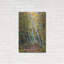 Millwood Pines «Birch Path» par Joanne Towers, art mural en métal-1073157198