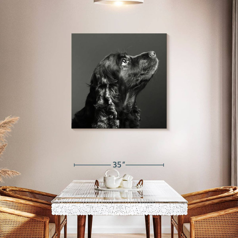 Brampt chien noir brillant, H 36 po x l 36 po