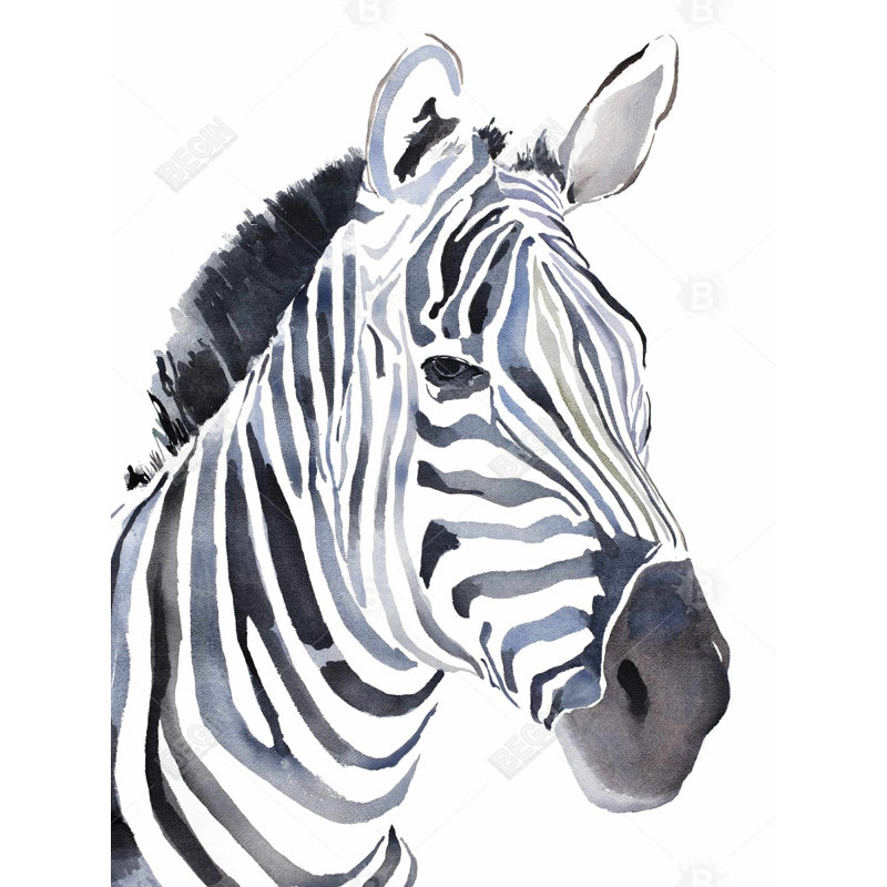 Watercolor zebra Bath Mat with Non-Slip Backing - Quick Dry Memory Foam Bathroom Rug - Absorbent - Modern Plush Spa-Style - Machine Washable