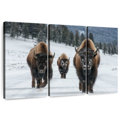 Famille de bisons Brampt dans le parc national de Yellowstone