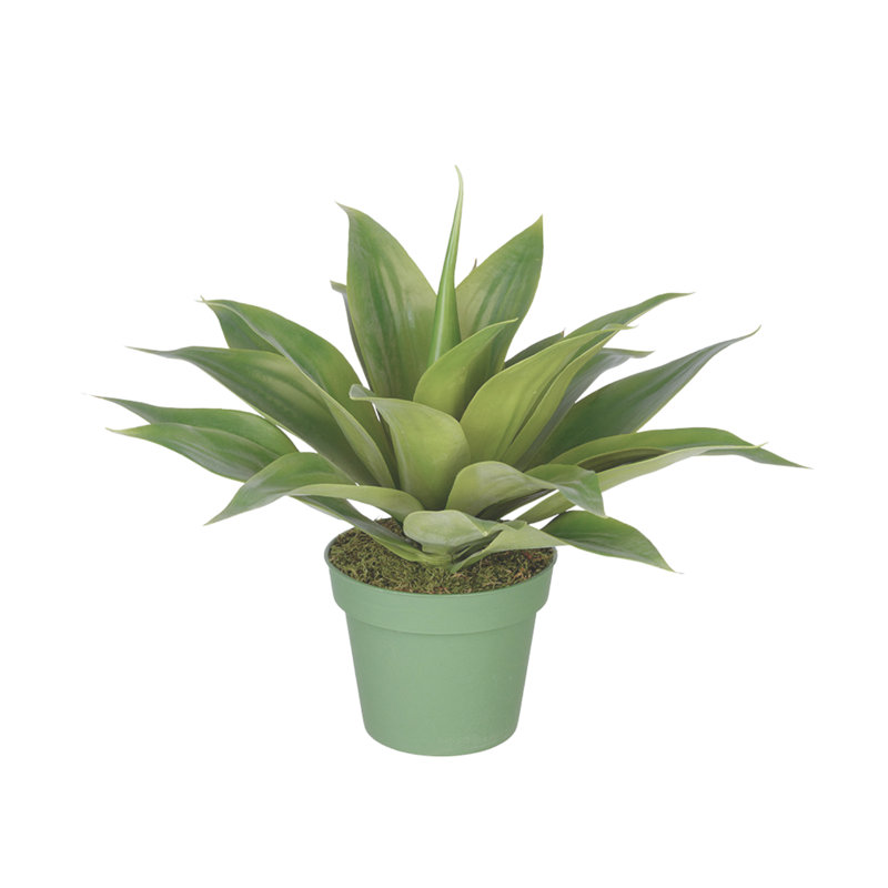 Plante grasse artificielle en pot, H 20 po x l 22 po x P 22 po