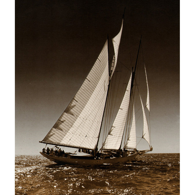 Voile à Cowes I