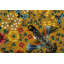 One-of-a-Kind 8’9”x12’ Area Rug