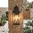 Cashala 3-Light Outdoor Wall Lantern