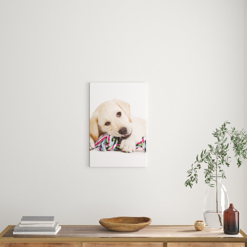 Leinwandbild Hundewelpe, Fotodruck