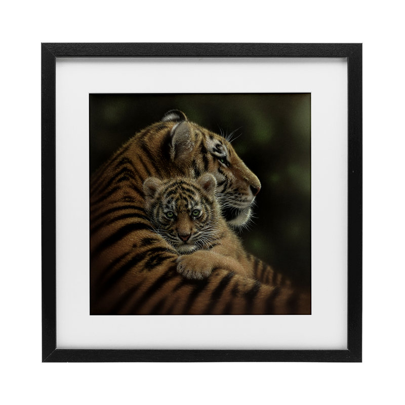 «Cheried Tiger Cub», reproduction encadrée sous verre, conception de Collin Bogle, H 13 po x l 13 po, Cadre noir minuit