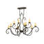 Elivra 10 - Light Chandelier