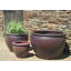 Tron Cao Handmade Planter