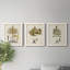 Fern Botanical I - Ensemble de 3 peintures sur toiles encadrées-772660934-772660939