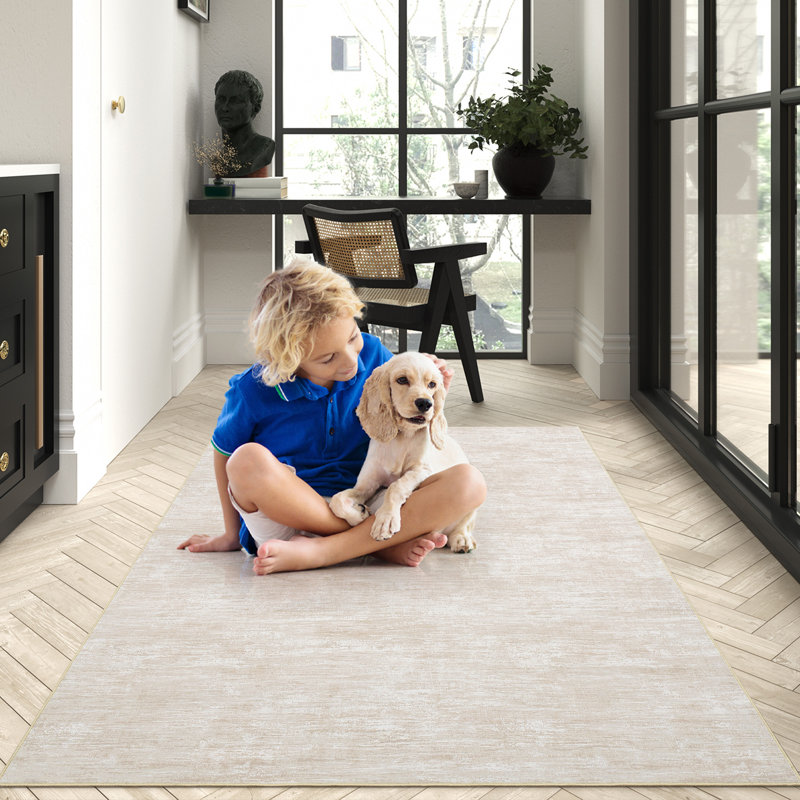 Washable Solid Color Textured Thin Indoor Rug, Low Pile Area Rug with Soft Surface, Non Slip Backing, Easy Clean Design for Living Room, Bedroom, Dorm, Home Office