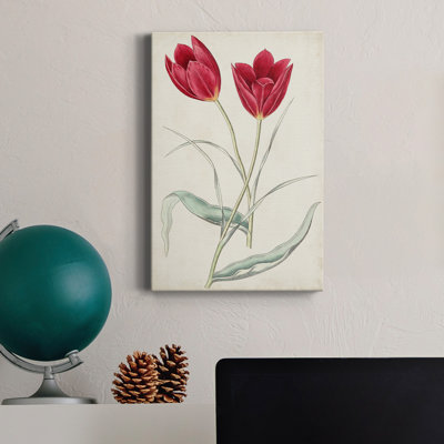 Antique Botanical Collection III - reproduction d'art sur toile tendue