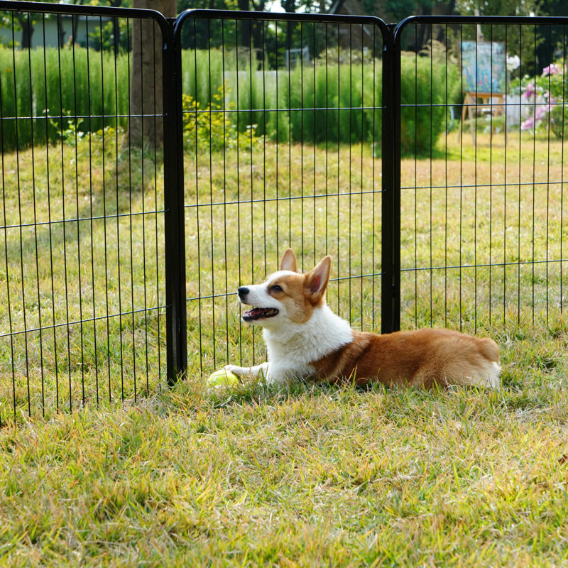 Parc pour chien pliable en métal robuste sans porte (ensemble de 4), Noir, H 50 po x l 88,8 po x P 0,63 po
