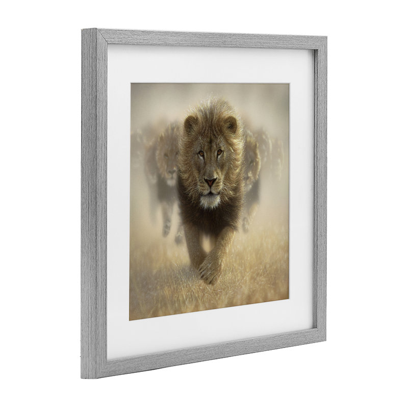 «Eat My Dust Lions», reproduction encadrée sous verre, conception de Collin Bogle, Cadre de ferme gris, H 13 po x l 13 po