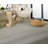 Maygen Indoor Rug-62268435