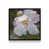 Satin Black Floater Framed selected