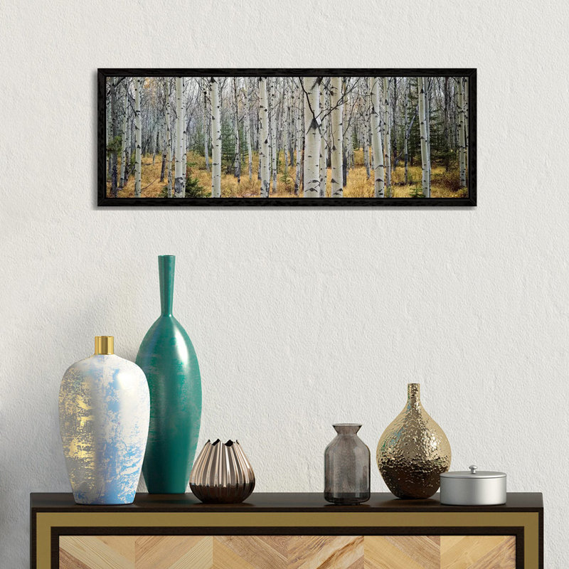 Aspen Trees In A Forest Alberta, Canada by Panoramic Images - Wrapped Canvas Panoramic Print, Black Floater Framed