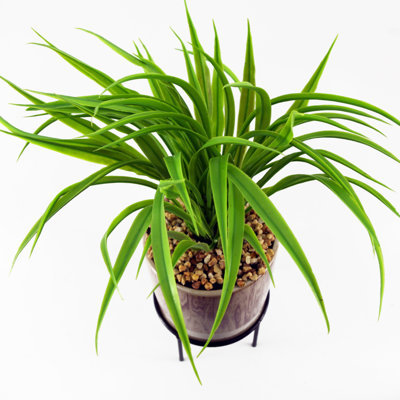 Anjeli 35cm Faux Foliage Plant in Ceramic Pot