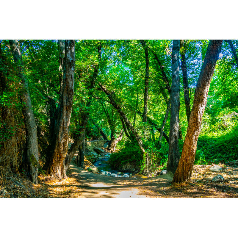 Cotter Clarios Creek On Cyprus - Wrapped Canvas Print, 20cm H x 30cm W x 3.8cm D