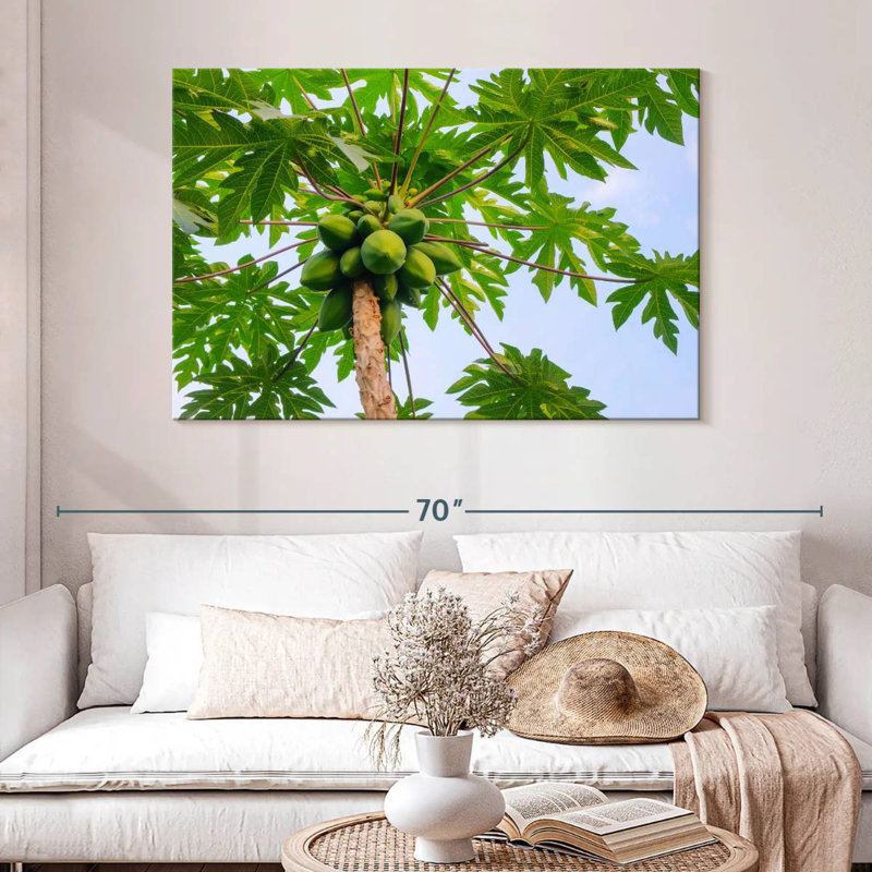Harnek Papaya Tree