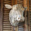 Weathered Cow Head Wall Sculpture