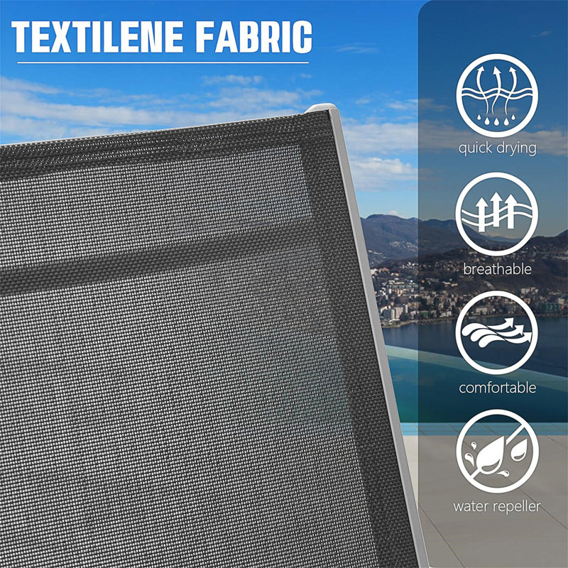 Ensemble de 2 chaises longues pour piscine, Gris foncé