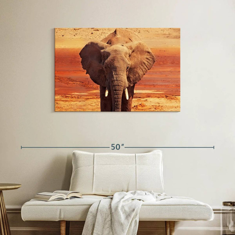 Éléphant d'Afrique, H 26 po x l 39 po
