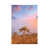 Wrapped Canvas
