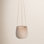 Rosaria Ceramic Hanging Planter