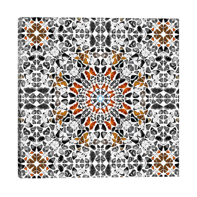 Modern Art - Wings Of A Butterfly by 5by5collective - Wrapped Canvas Print, 45.72 cm H x 45.72 cm W x 1.91 cm D