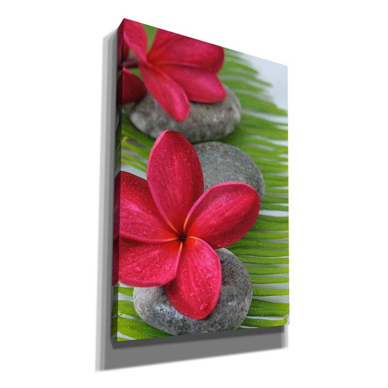 Latitude Run® 'Wabi Sabi II' Canvas Wall Art, 40"X60", 60" H x 40" W x 1.5" D