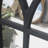 Darnella Flat Mirror-1727417863