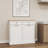 Modern Two Drawers And Two-Compartment Tilt-Out Trash Cabinet, Kitchen Trash Cabinet