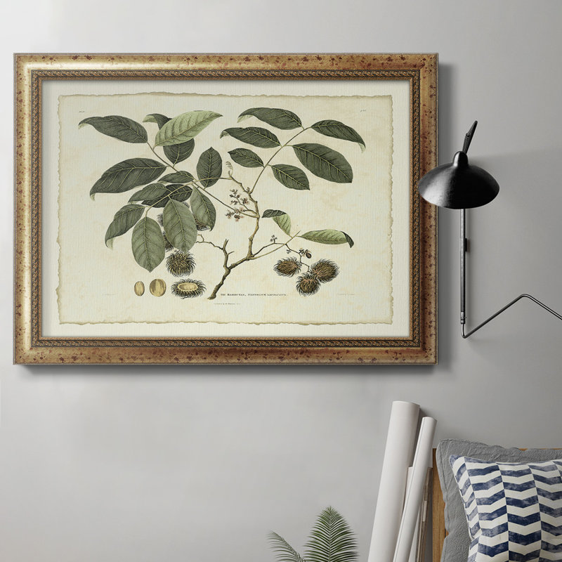 Delicate Botanical III - reproduction d'art sur toile encadrée, L 36 po x H 24 po