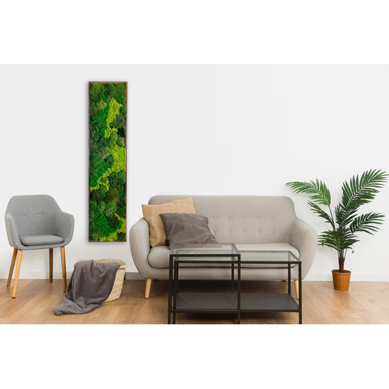 Symbiotikwalls Moss Art. Mur vert. Mousse préservée. Mur de plantes, Noir, noir, noir, noir, H 30 po x l 16 po x P 2 po