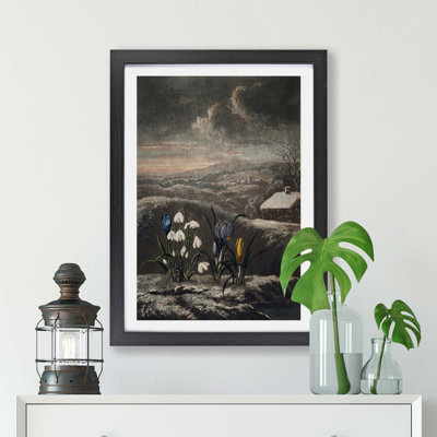The Snowdrop Flowers - Framed Print