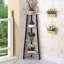 Falmer 125cm H x 34cm W Corner Bookcase