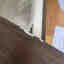Customer photo 4 of 4