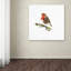 «Armand» par Armand, reproduction sur toile-21646604