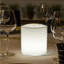LED Outdoor Hanging Light