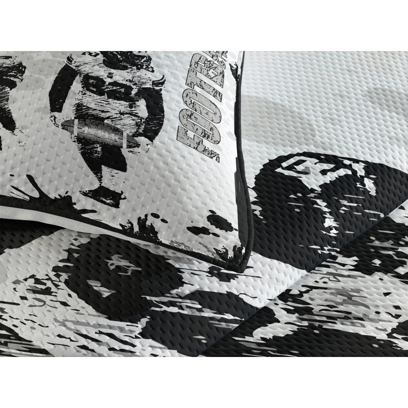 Modern & Contemporary Polyester Coverlet